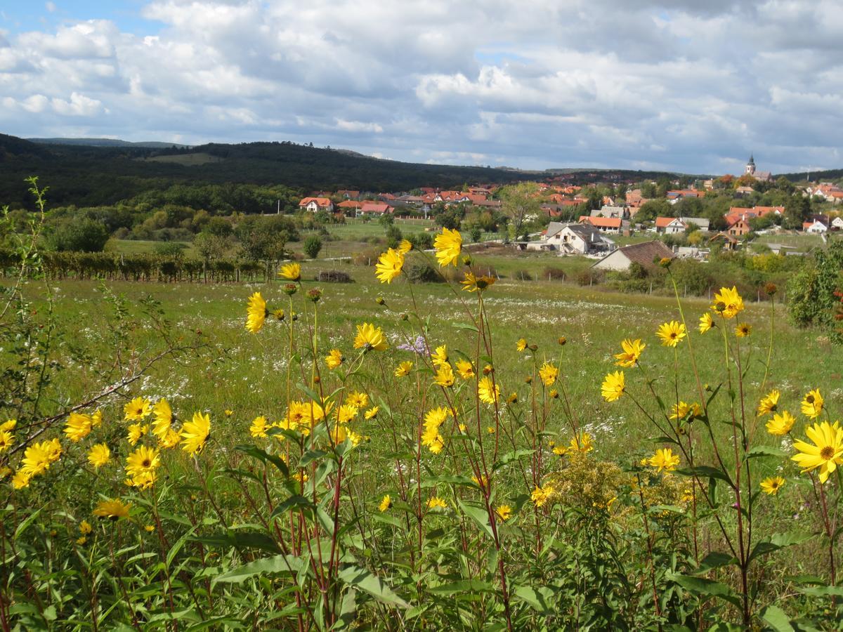 A Tornyos Haz Hotel Csárdamajor Buitenkant foto