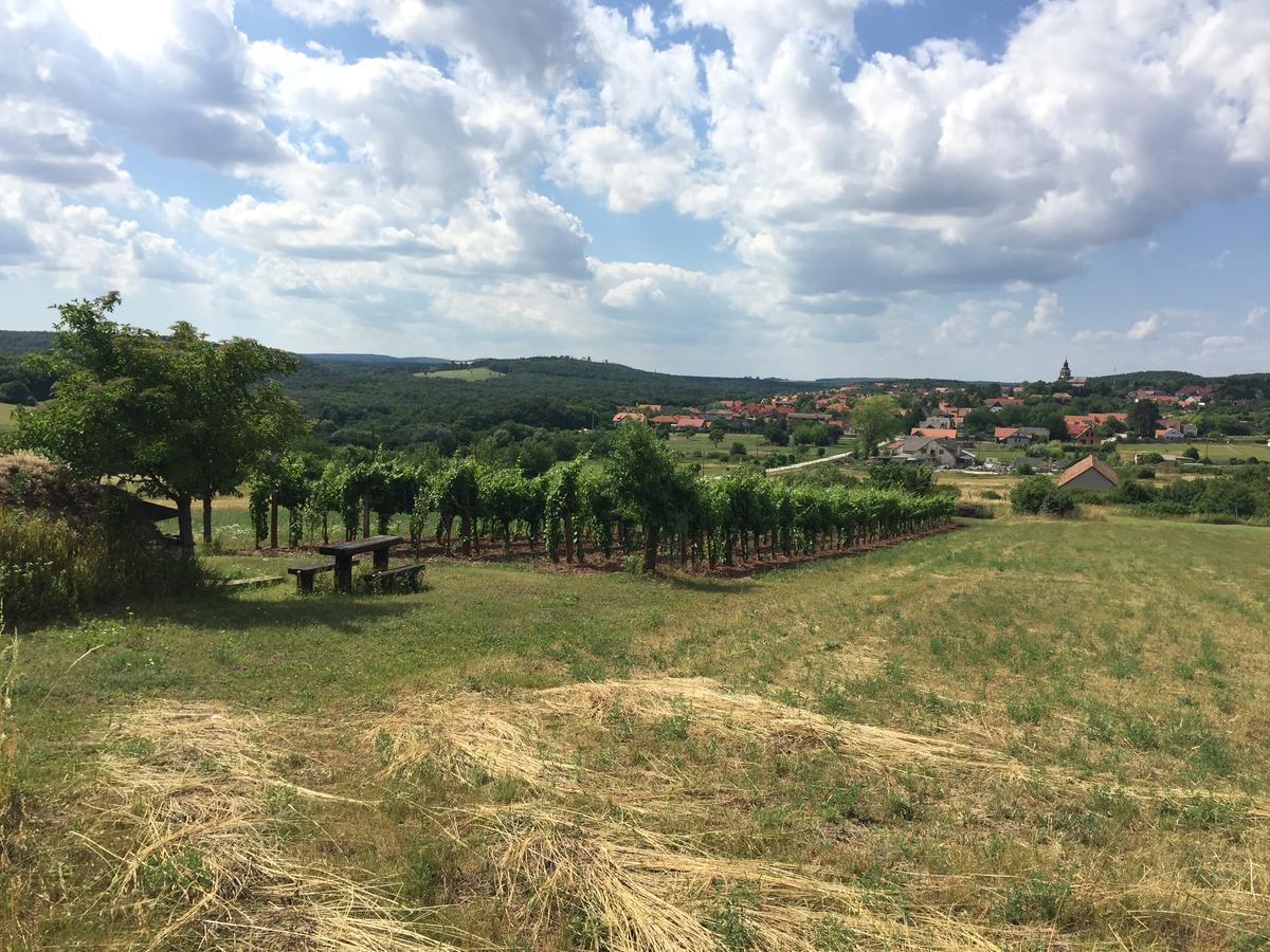 A Tornyos Haz Hotel Csárdamajor Buitenkant foto