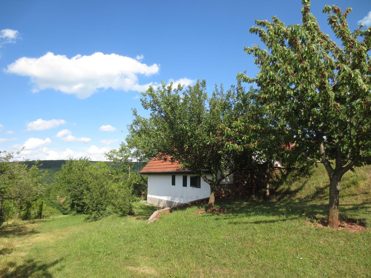 A Tornyos Haz Hotel Csárdamajor Buitenkant foto