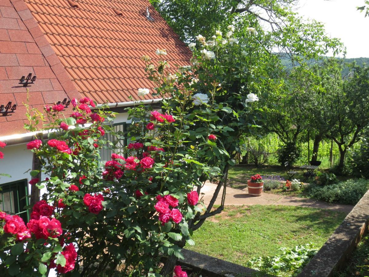 A Tornyos Haz Hotel Csárdamajor Buitenkant foto